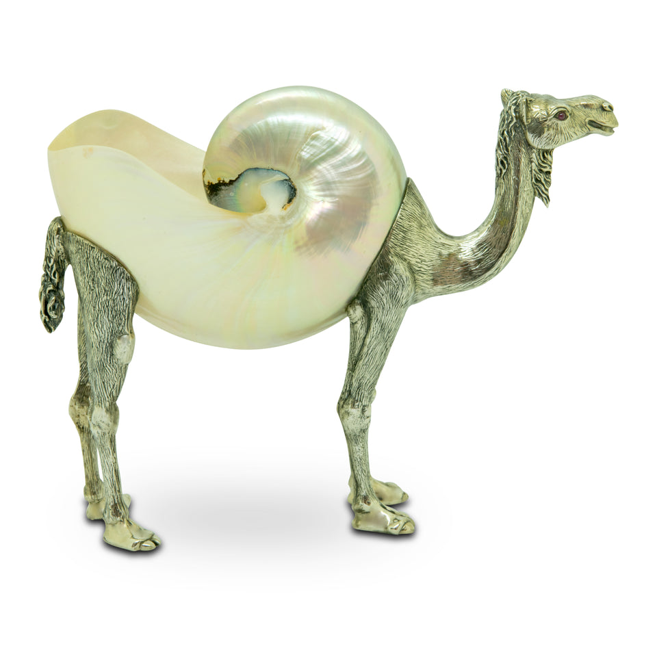 Silver Nautilus Camel