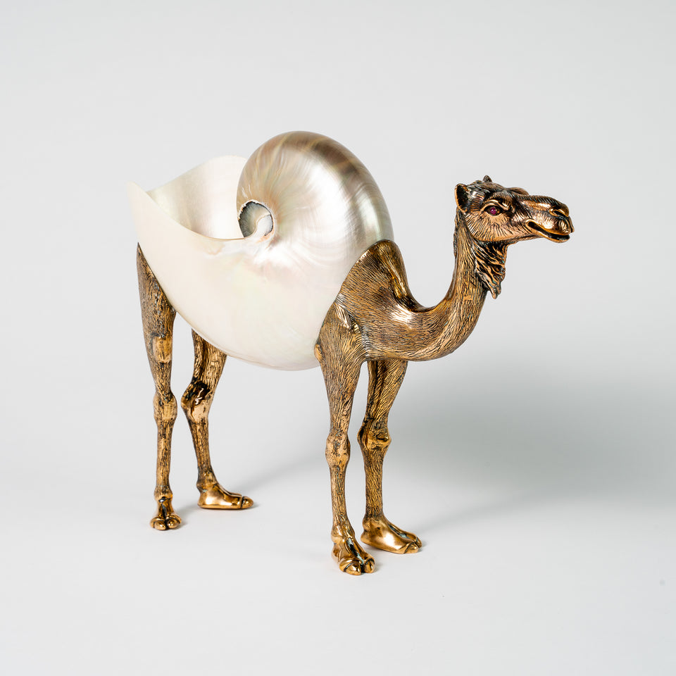 Bronze Nautilus Camel Pearl Polished