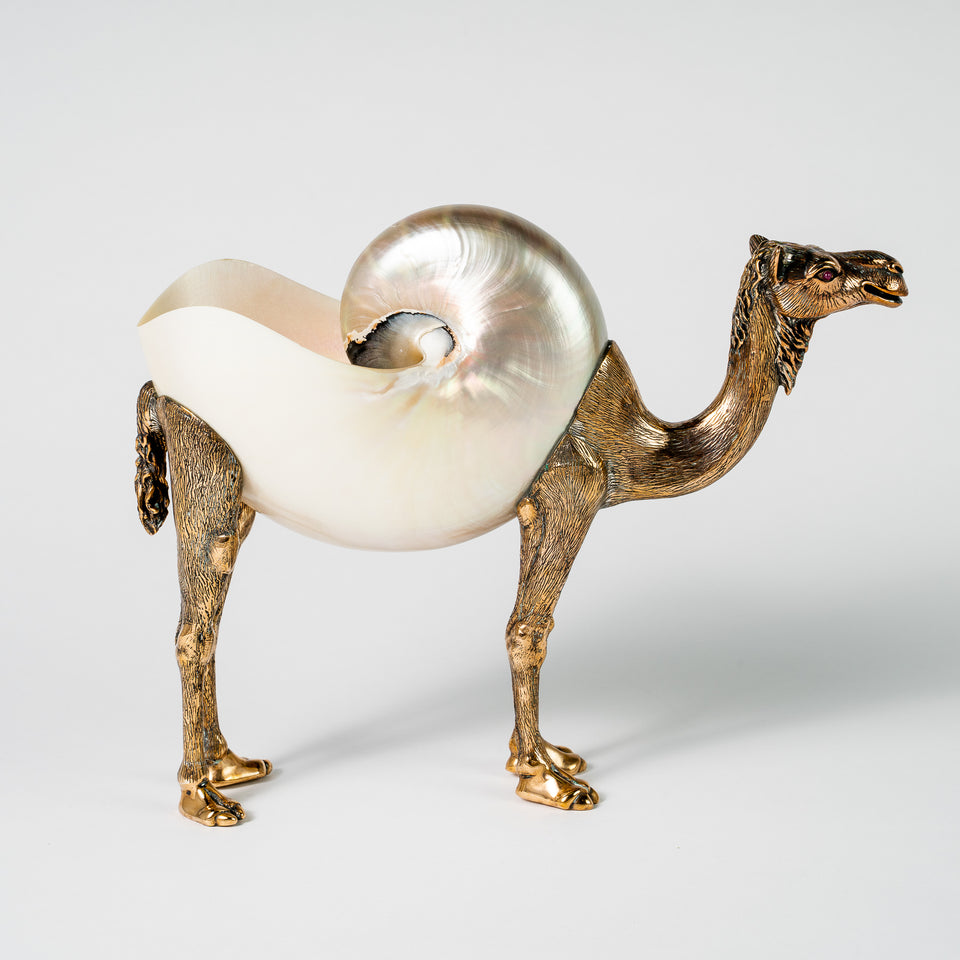 Bronze Nautilus Camel Pearl Polished