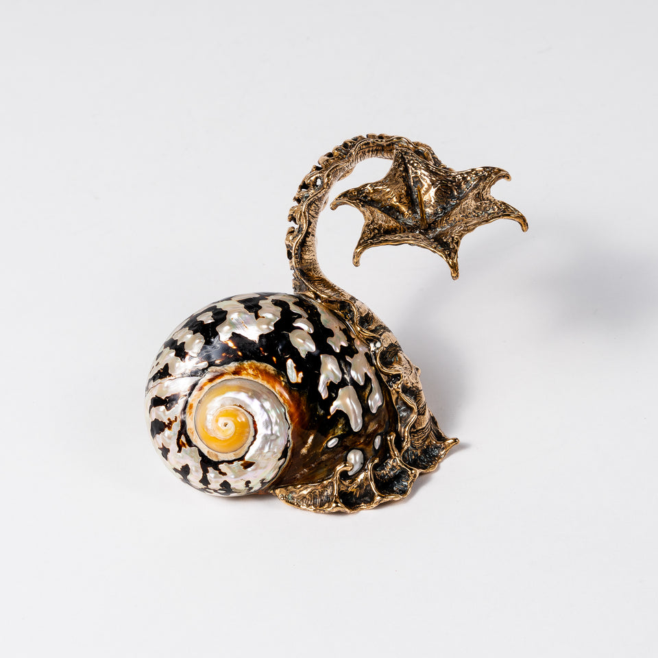 Bronze Snail Hand Red Turban Shell