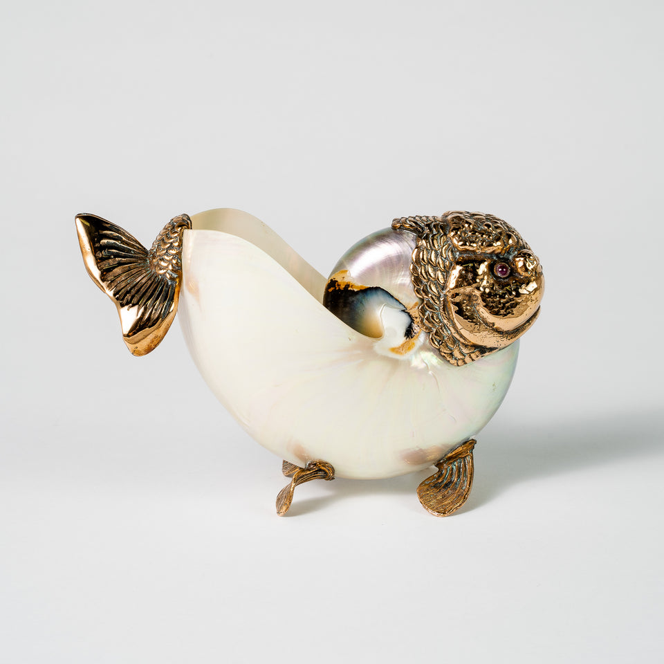 Lion Gold Fish Nautilus