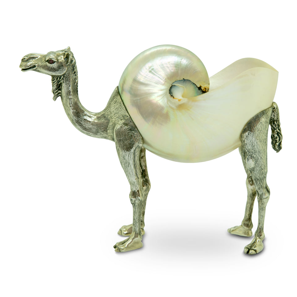 Silver Nautilus Camel