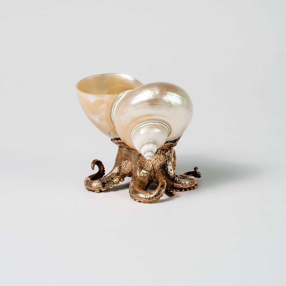 Polished Turban on Octopus