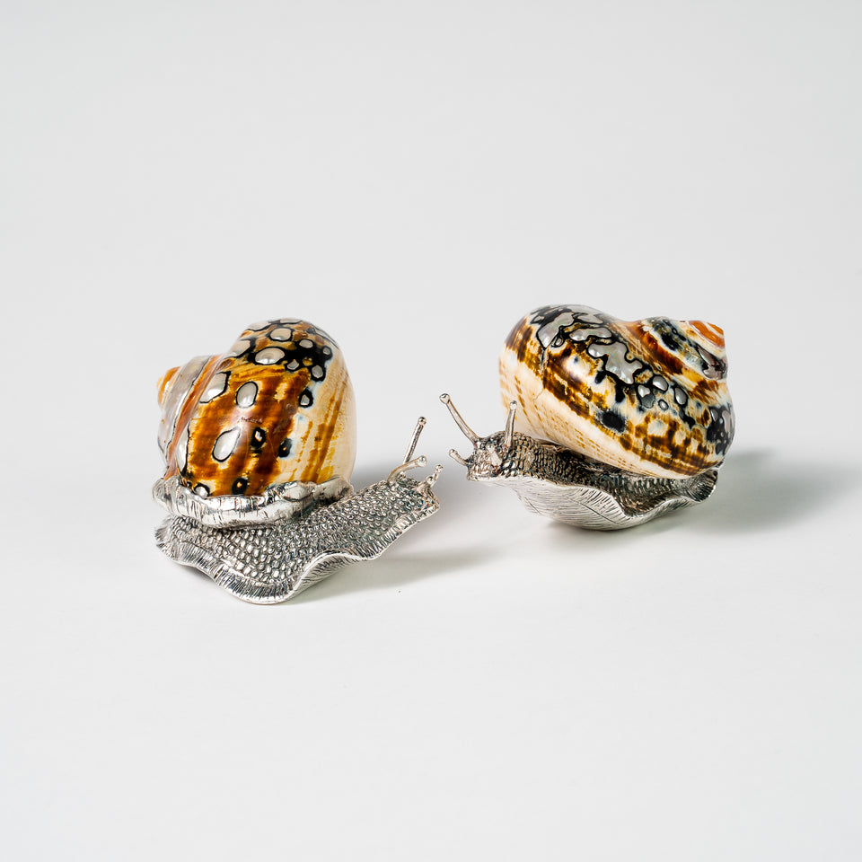 Salt Pepper Snail Pair