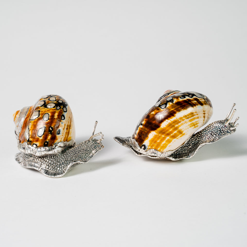 Salt Pepper Snail Pair